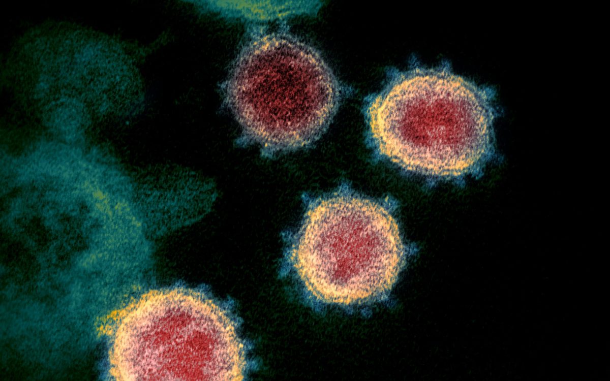 Coronavirus